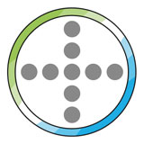  Bayer 